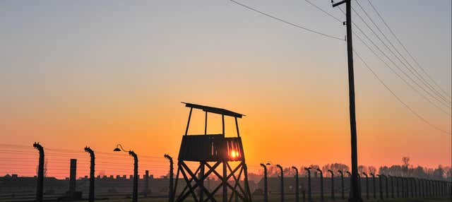 Excursión a Auschwitz-Birkenau con guía
