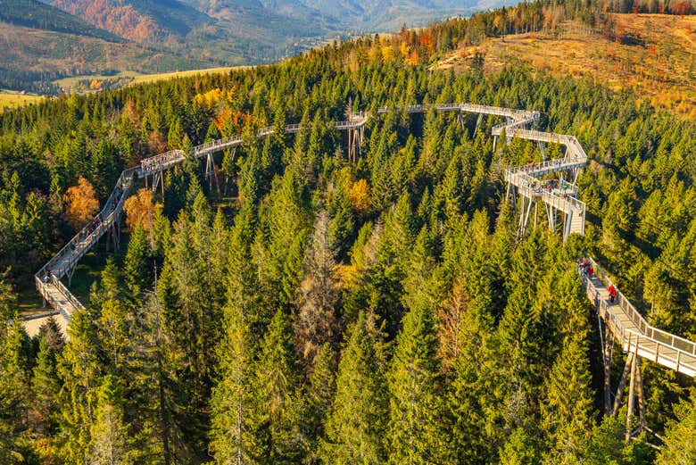 Vista aérea de Treetop Walk Bachledka 
