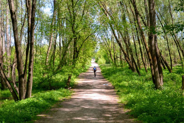 Recorriendo los alrededores de Cracovia en bici