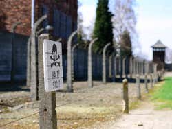 Auschwitz, ¡alto!