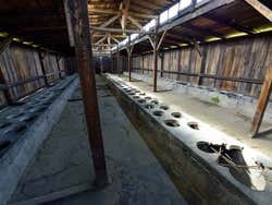 Birkenau, letrinas
